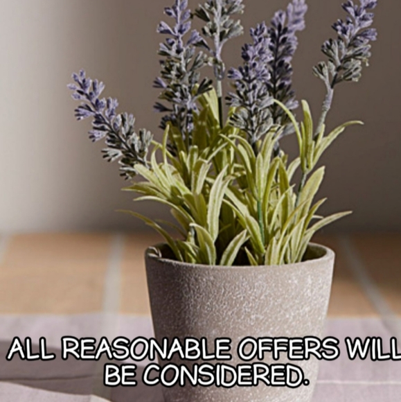 NATURALIZER Kitten heels white shoes women's teen girls - Picture 12 of 12